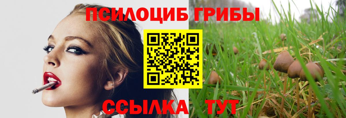 Скопин  Галлюциногенные грибы Psilocybine cubensis  Вход с VPN 
